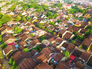 High angle view of tree and buildings in city