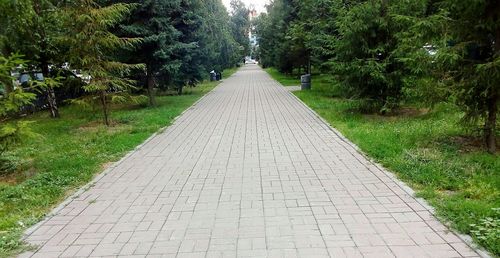 Footpath amidst trees in park