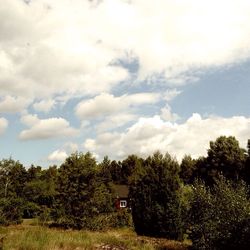 Scenic view of grassy field against cloudy sky