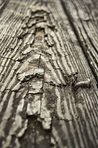 Close-up of wooden logs