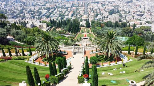 High angle view of trees in city