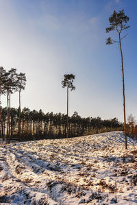 Snow covered field against sky