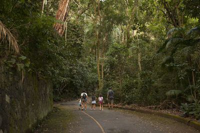 Rear view of people walking on footpath in forest