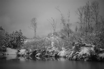 Trees by lake against sky