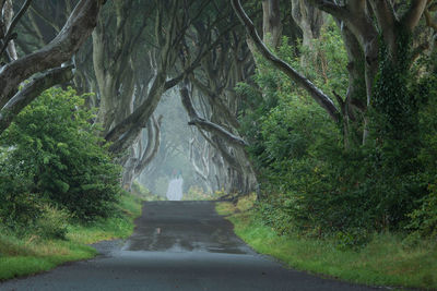 Road amidst trees in forest