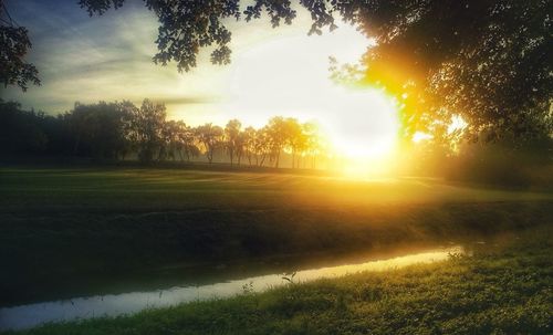 Sunlight streaming through trees on field during sunset