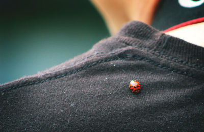 Close-up of ladybug on shoulder