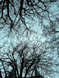 Low angle view of bare tree against sky