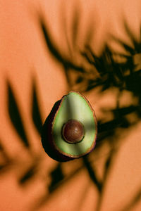 Close-up of person holding fruit