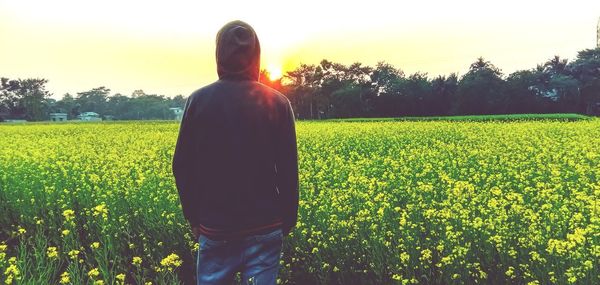 Rear view of person standing in field