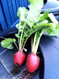 High angle view of fresh strawberries