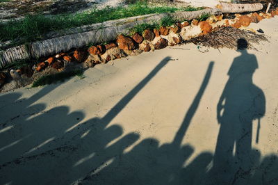 Shadow of people on wall