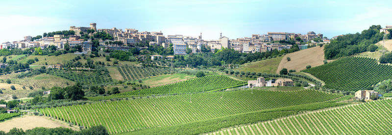Panoramic view of agricultural field against buildings in city
