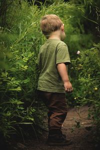 Rear view of boy looking at plants