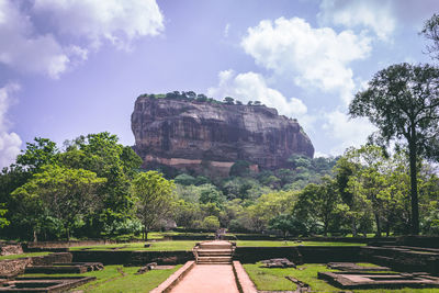 Walkway amidst trees leading towards mountain against sky