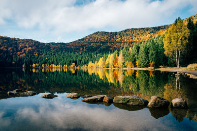 Scenic view of lake by trees against sky