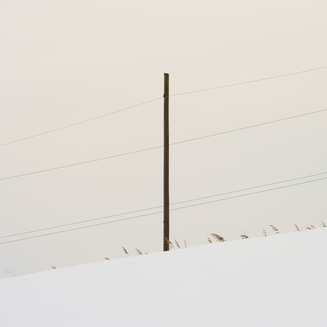 LOW ANGLE VIEW OF BIRDS PERCHING ON CABLE