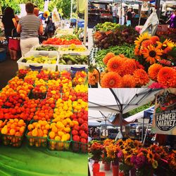 High angle view of colorful flowers in store