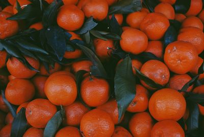 Full frame shot of oranges