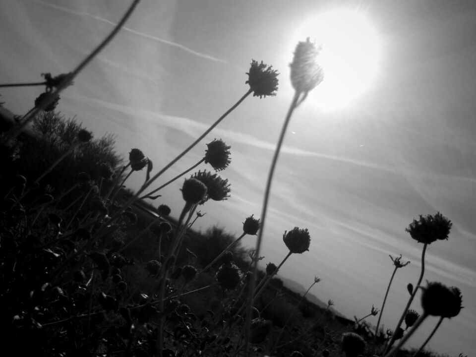 33 popular photos nationalgeographic national geographic bestoftheday tunnelporn tunnelbana tunnelvision tunnels sepia_collection sepia sepia tone loving sepiatone [a:sunset sun clouds skylovers sky nature beautifulinnature naturalbeauty photography lands