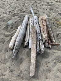 High angle view of driftwood on sand at beach