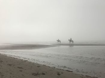 People riding horses at beach during foggy weather