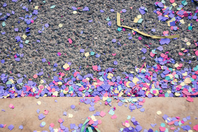 High angle view of multi colored leaves falling on flowers