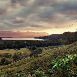 Scenic view of landscape against cloudy sky