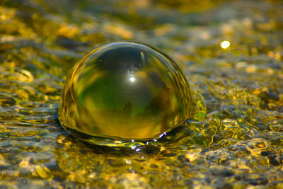 Close-up of water ball on glass