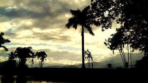 Low angle view of silhouette palm trees against sky