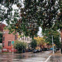 Trees in city against sky