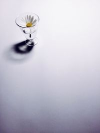 High angle view of daisy in glass on white table