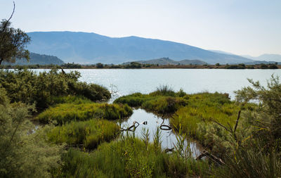 Scenic view of lake against sky