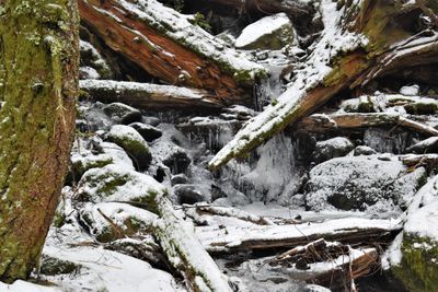 Scenic view of waterfall in forest during winter