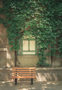 Empty bench by tree against building