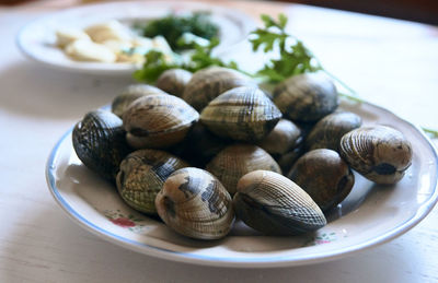 Close-up of snail on table