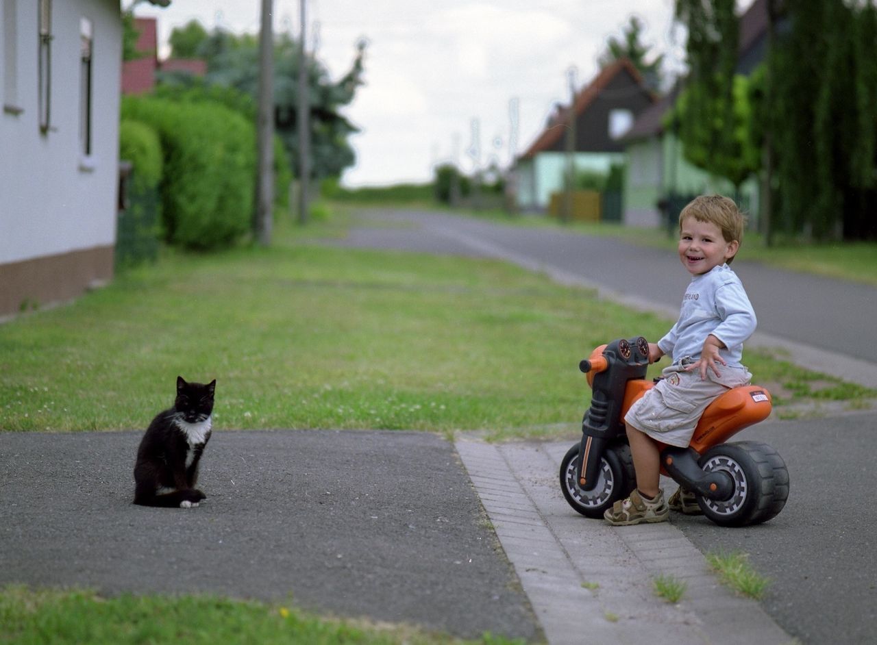 full length, grass, casual clothing, lifestyles, street, childhood, leisure activity, person, one animal, boys, road, elementary age, animal themes, day, innocence, outdoors, building exterior