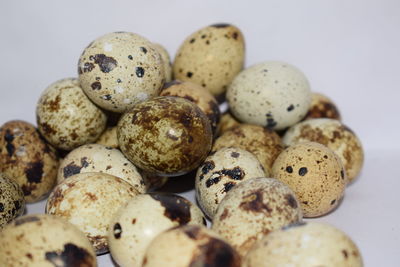 Close-up of cookies against white background