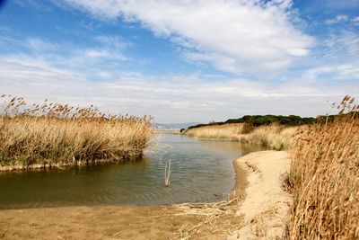 Scenic view of lake against sky