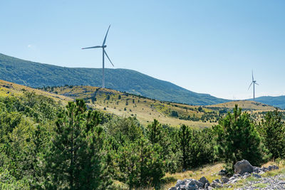 Scenic view of landscape against clear sky