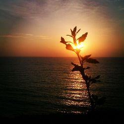 Scenic view of sea at sunset