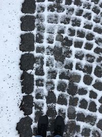 Low section of person standing on snow covered ground