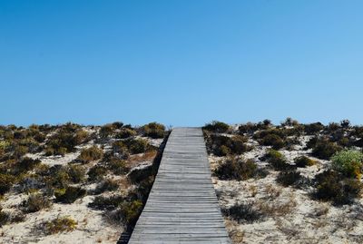 Narrow walkway along landscape and against clear sky