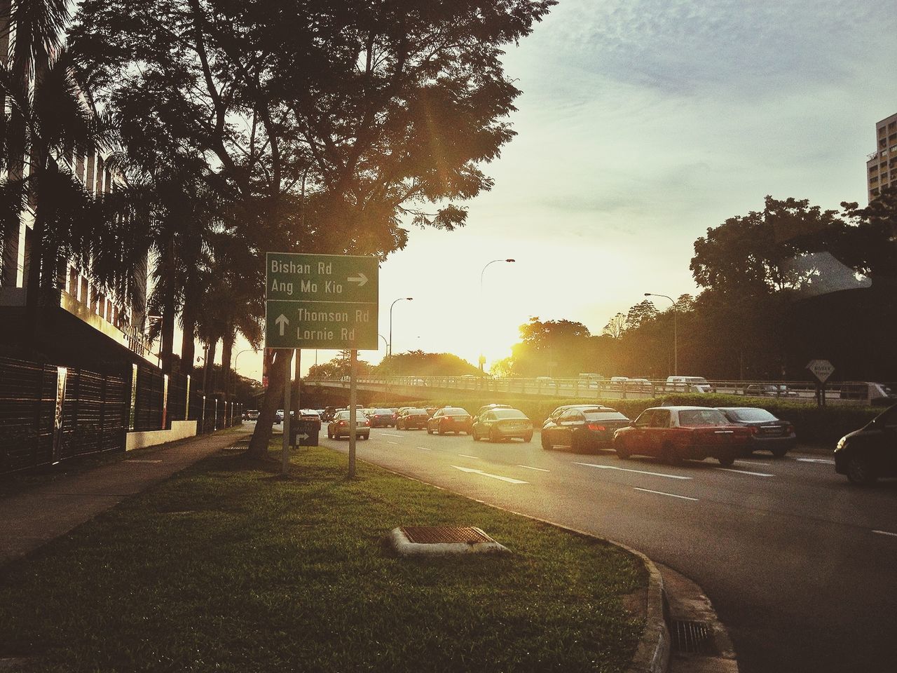 transportation, car, land vehicle, mode of transport, sky, street, road, tree, sunset, building exterior, city, built structure, cloud - sky, architecture, the way forward, street light, sunlight, outdoors, no people, road marking