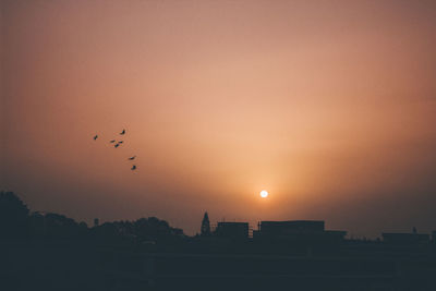 Silhouette birds flying against orange sky