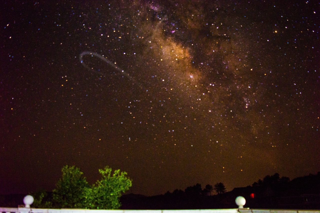 night, star - space, star field, astronomy, galaxy, star, scenics, tree, milky way, tranquility, tranquil scene, beauty in nature, nature, sky, silhouette, constellation, space, low angle view, idyllic, dark