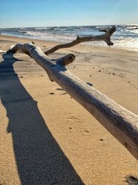 Shadow of driftwood on beach