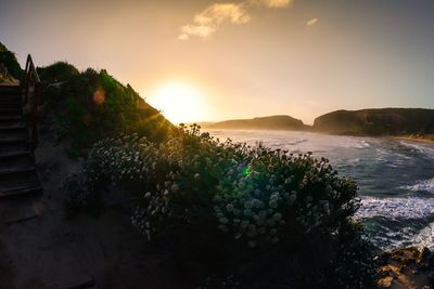 Scenic view of sea at sunset