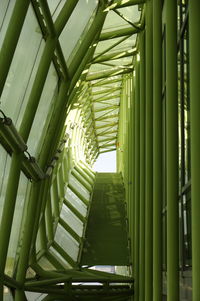 Low angle view of staircase in building