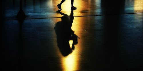 Low section of silhouette people walking on tiled floor